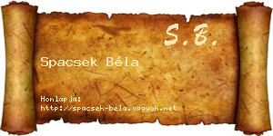 Spacsek Béla névjegykártya