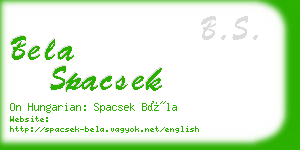 bela spacsek business card